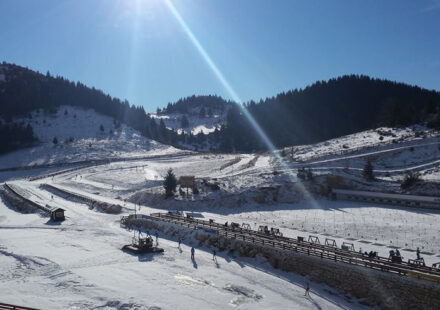 Areál v Cheile Gradistei