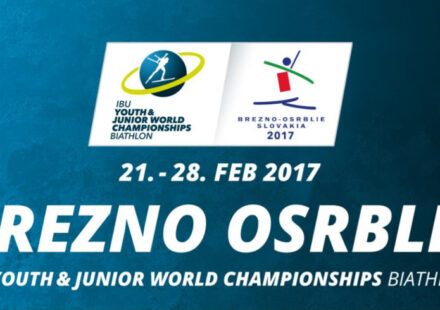 Logo MSJ Osrblie 2017